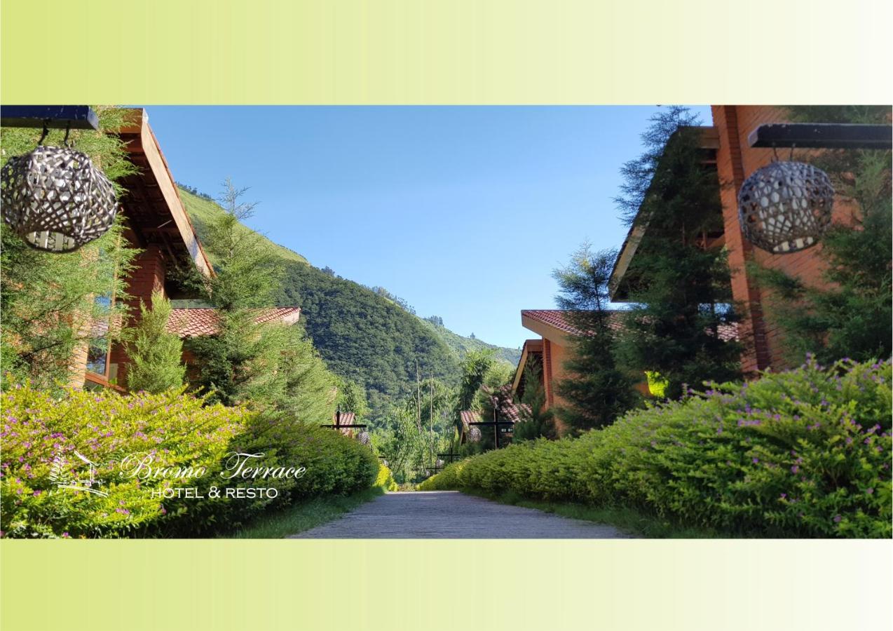 Bromo Terrace Hotel Εξωτερικό φωτογραφία