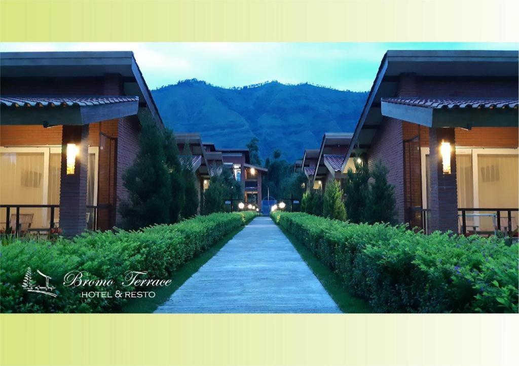 Bromo Terrace Hotel Εξωτερικό φωτογραφία