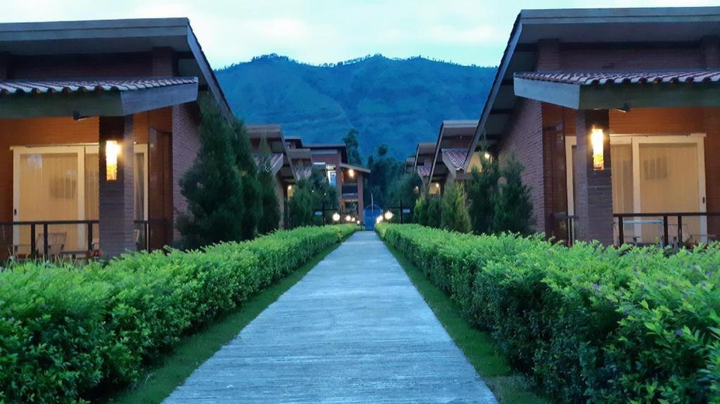Bromo Terrace Hotel Εξωτερικό φωτογραφία